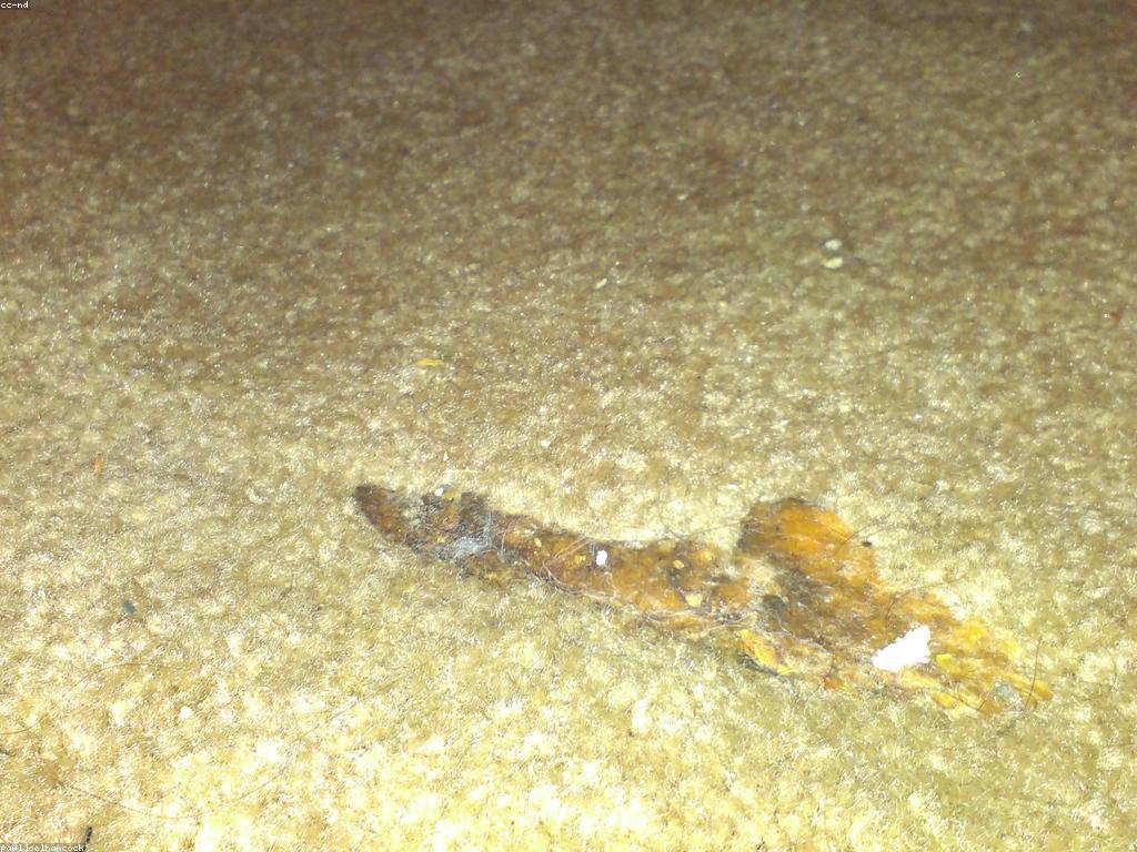 ការយល់ដឹងអំពីប្រាក់កក់និងការទូទាត់៖ វិធីសាស្រ្តនិងអត្ថប្រយោជន៍