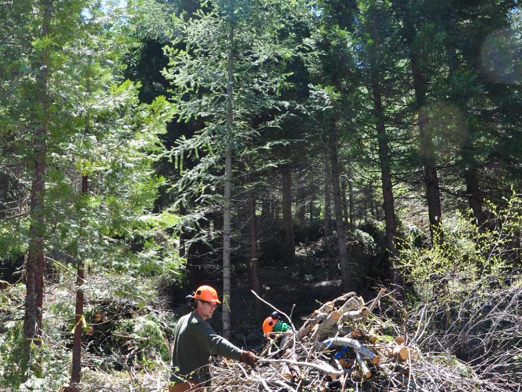អត្ថប្រយោជន៍និងហានិភ័យនៃការយកចិត្តទុកដាក់